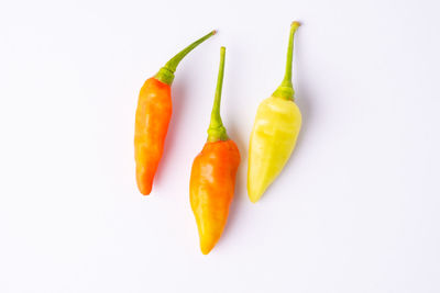 Close-up of chili pepper against white background