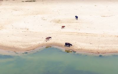 High angle view of beach