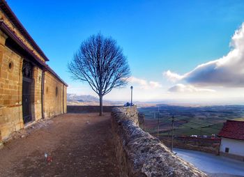 Bare trees by buildings against blue sky