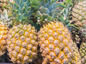 High angle view of fruits in market