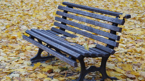Close-up of chairs on autumn leaves