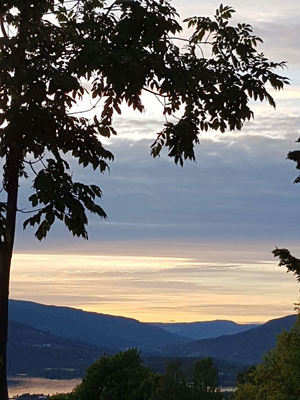 sky, tree, plant, beauty in nature, cloud - sky, scenics - nature, tranquility, tranquil scene, silhouette, sunset, nature, mountain, growth, no people, outdoors, idyllic, environment, branch, landscape, non-urban scene