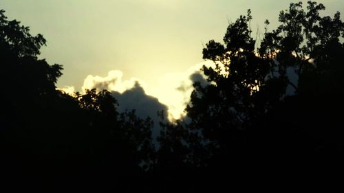 Silhouette of trees against cloudy sky