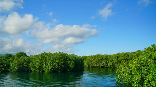 Scenic view of lake against sky