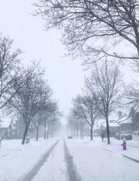 Road amidst bare trees during winter