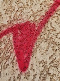 High angle view of red carpet