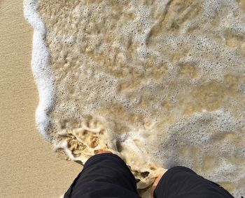 Low section of man standing on beach