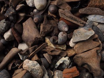 Full frame shot of firewood