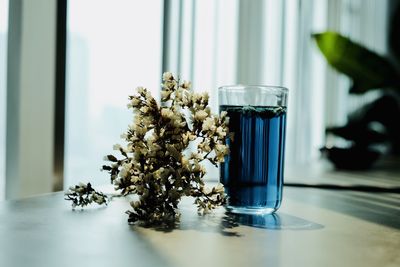 Close-up of glass on table at home