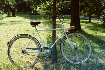 Bicycle in park