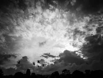 Low angle view of silhouette trees against cloudy sky