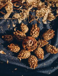 High angle view of dried fruits