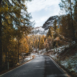 Road amidst trees against sky in forest