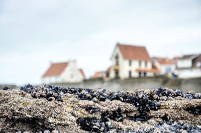 Close-up of rocks on beach against sky