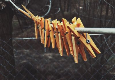 Close-up of orange clothespins hanging from wire