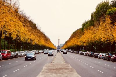 Cars on road by trees against clear sky