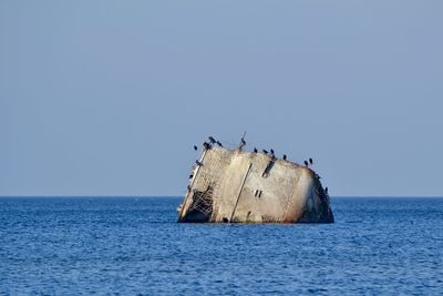 Scenic view of sea against clear sky. lady corlin ship wreck in baltic sea. 