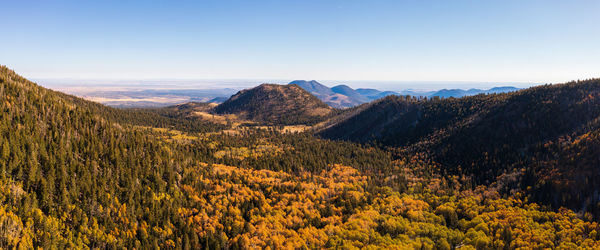 Amazing autumn landscape in arizona, taken from wilderness ridge