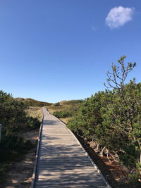 Empty footpath amidst trees against clear blue sky