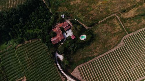 High angle view of plants in city