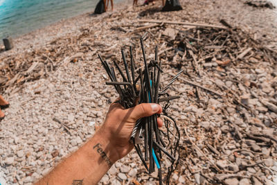 Hand holding straws found on a beach showing plastic pollution.