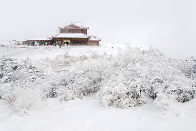 House against clear sky during winter