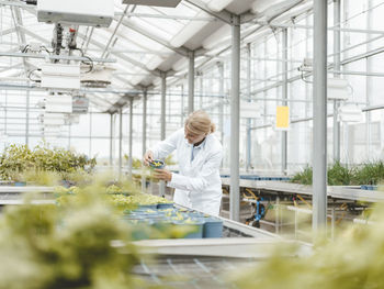 Agronomist doing research on plants in greenhouse