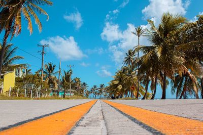 Road amidst trees against sky