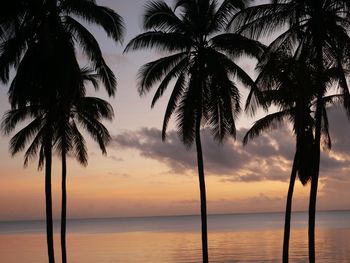 Silhouette palm trees by swimming pool against sky during sunset