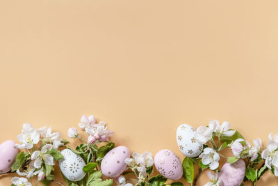 Close-up of white flowers against pink background