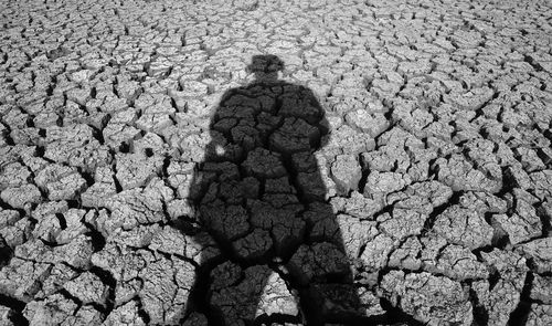 Rear view of man standing on sand at beach