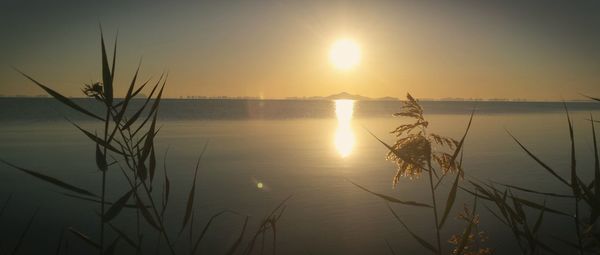 Scenic view of sea during sunset