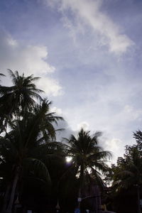 Low angle view of palm trees against cloudy sky