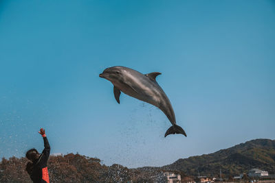 Low angle view of man in sea against blue sky