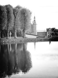 Reflection of trees in water