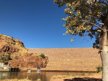 Tree by lake against clear blue sky