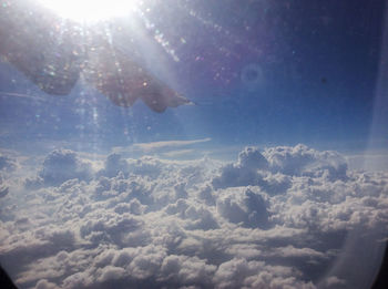 Close-up of jellyfish swimming in water