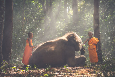 Smiling monks standing by elephant in forest