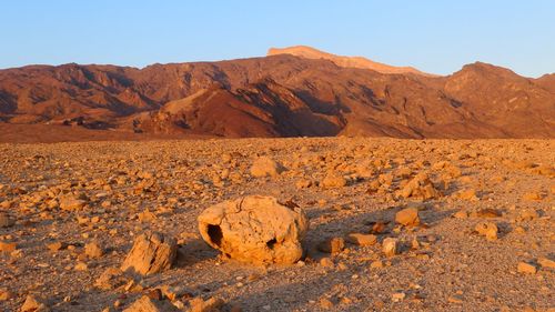 Scenic view of desert at sunrise against clear sky