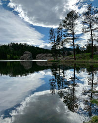 reflection