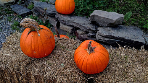 High angle view of pumpkins on hay bale during autumn