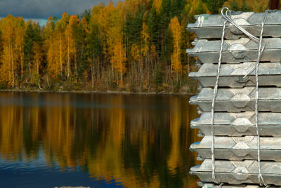 Reflection of trees in lake against sky