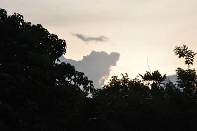 Low angle view of silhouette trees against sky