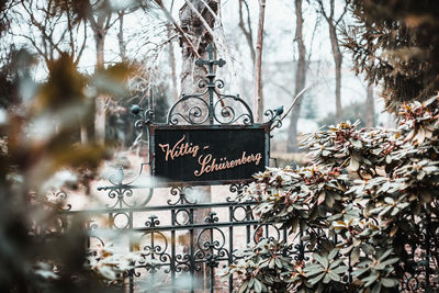 Close-up of text on tree