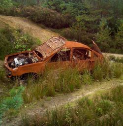 Old abandoned house on grassy field