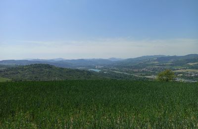 Scenic view of field against sky