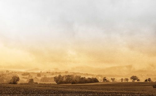 Scenic view of agricultural field against sky during foggy weather