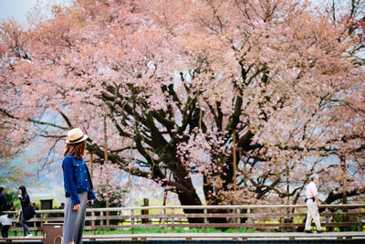 Woman standing by cherry blossom tree in park