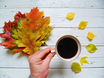 Directly above shot of hand holding maple leaves on table