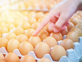 Cropped image of person holding eggs